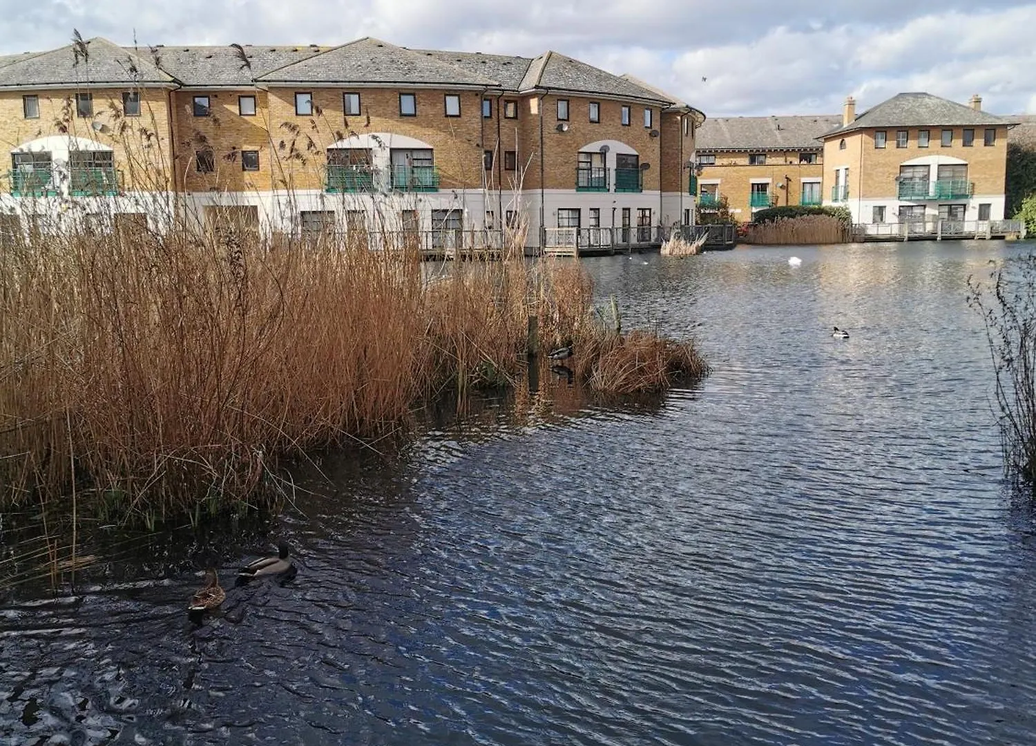 Riverside 1Br With Easy Transport 20Min To City Centre Λονδίνο Διαμέρισμα